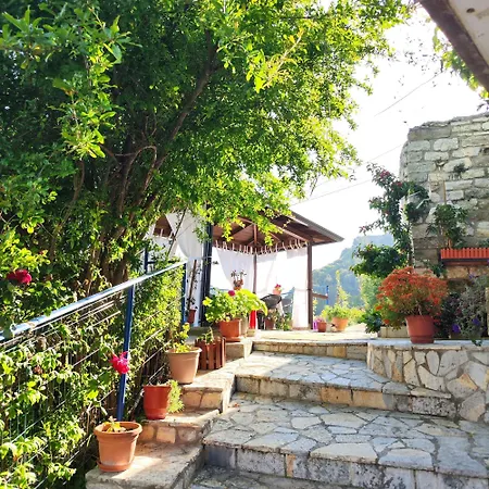 Kurti Old Town *